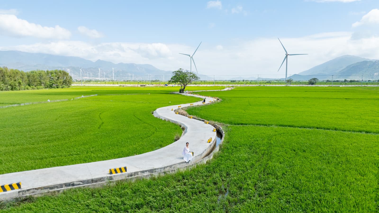 Con đường quê uốn lượn qua cánh đồng lúa ở Nam Định